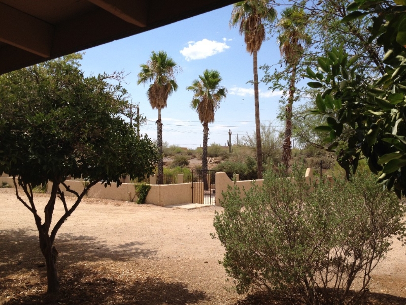 The pool is walled. Your own palm trees.