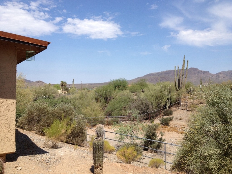 View from the back porch - cactus and mountains in every direction!